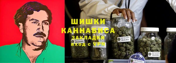 apvp Осинники