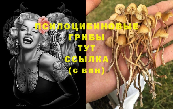 МДПВ Осташков