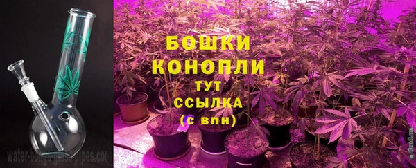 МДПВ Осташков