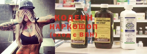 apvp Осинники