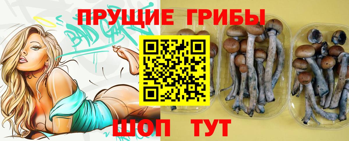 Галлюциногенные грибы Magic Shrooms  Вход с VPN  Рязань  Галлюциногенные грибы прущие грибы 
